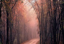 [图]英超-B费点射凯塞多破门 曼联1-1切尔西.