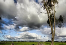 排名下滑至世界第7！郑钦文谈爆冷出局：对手打得很好，我尽力了济南时报.